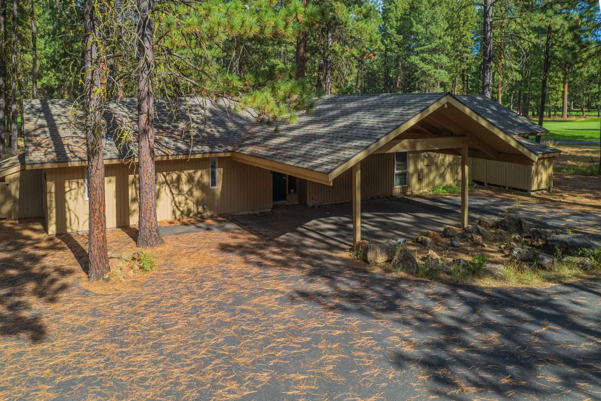 This exterior image showcases a welcoming wooden house framed by pillars and surrounded by tall pine trees, with a driveway scattered with leaves. The porch offers a perfect spot for relaxing and gatherings, while the spacious outdoor area is ideal for group barbecues and enjoying the natural setting.