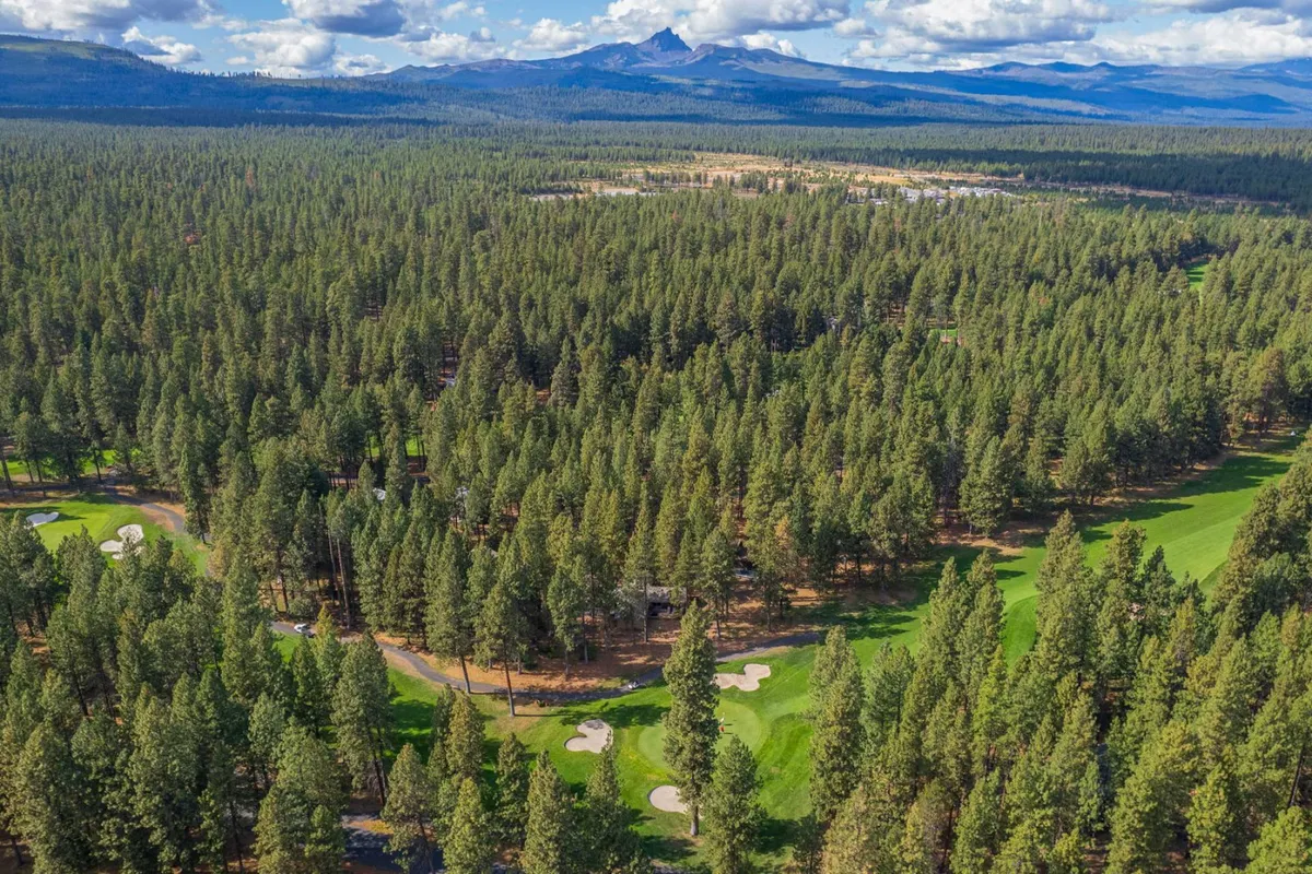 A panoramic view of verdant golf fairways stretching alongside a dense forest and distant mountains. The scene is dotted with sand traps and open skies, evoking the sense of wide-open spaces perfect for sports and nature activities.
