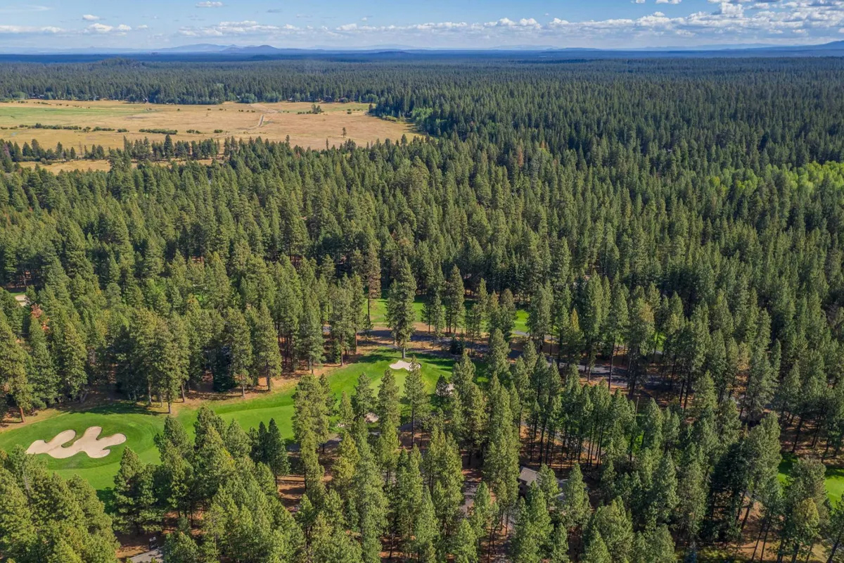 A breathtaking, elevated perspective of the golf course, set against a dramatic backdrop of dense forest and distant mountain peaks. The view suggests opportunities for relaxation, exploration, and awe-inspiring moments in nature.