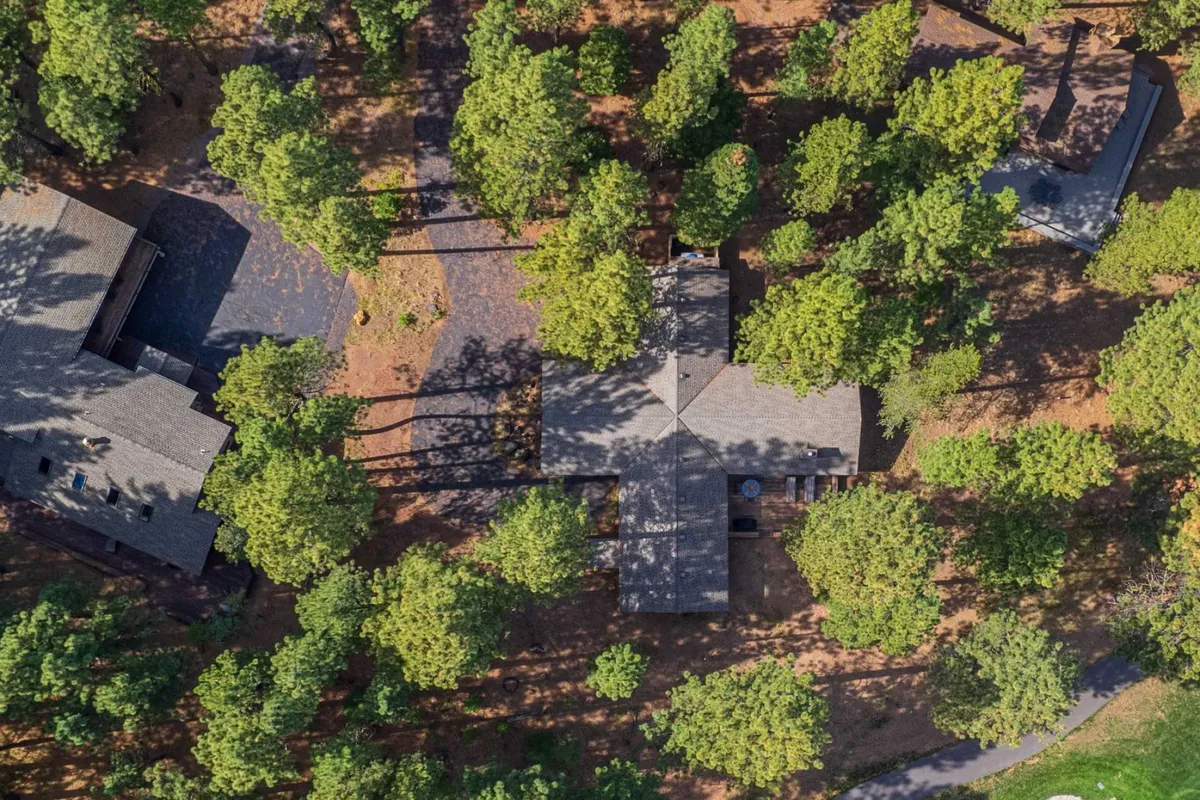A view of the home's exterior nestled among tall trees, rooftops peeking through the foliage, and driveways leading to the property. The peaceful setting highlights access to open outdoor space and the surrounding natural beauty, perfect for exploring with pets.